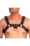 RED Leather Harness black